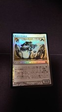 Ravager ad arco Foil prima