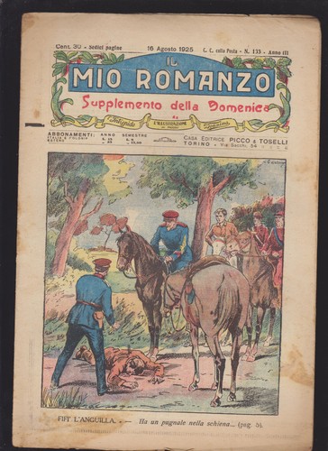 Mio romanzo anno - romanzo, n.