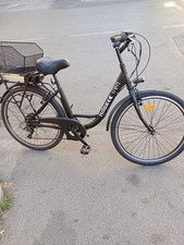 Dotata di motore BAFANG da 250W con 3 velocità e batteria LG removibile da 36V -