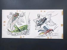 ILLUSTRAZIONE ORIGINALE FERDINANDO TACCONI ENCICLOPEDIE EDIZIONE ARISTEA 