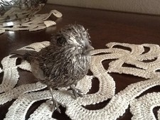 Passero furry in argento Mario