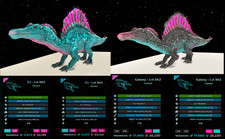 Aberrante spino galaxy - spino, cotone