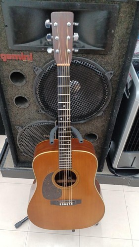 Chitarra acustica elettrica