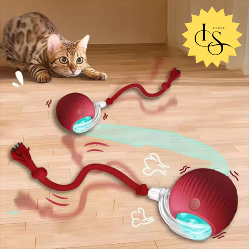Gioco interattivo per gatti - gioco,