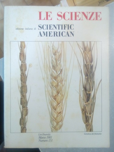 Scienze scientific american - scientific,