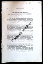 Paléontologie: 1931