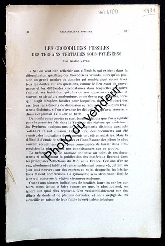 Paléontologie 1931 - paléontologie:,