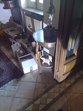 Coppia dì elefanti - coppia,