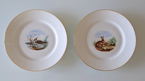 Richard ginori set - 2, piatti