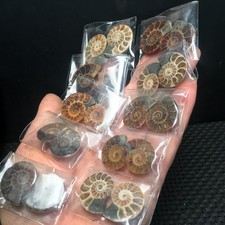 63g 10 paia piccole pietre