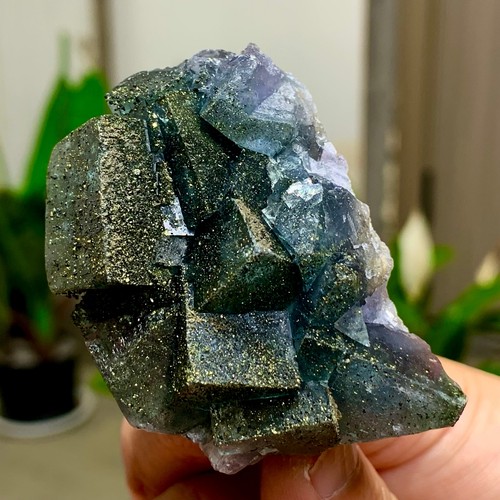 100g fluorite verde viola - fluorite,