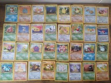 Set Jungle Pokémon Completo