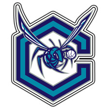 Adesivo basket logo Charlotte