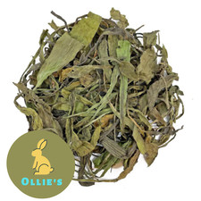 OLLIE’s Natural Plantain