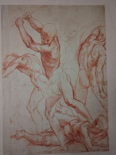 486 stampa riproduzione - 486,