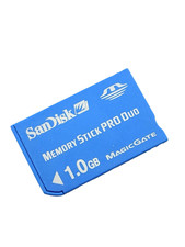 Scheda di memoria 1 GB Sandisk
