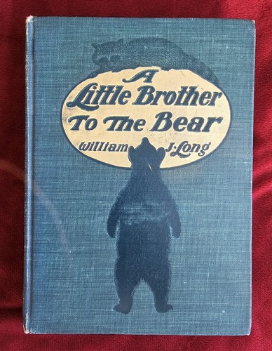 Little brother the bear - to,