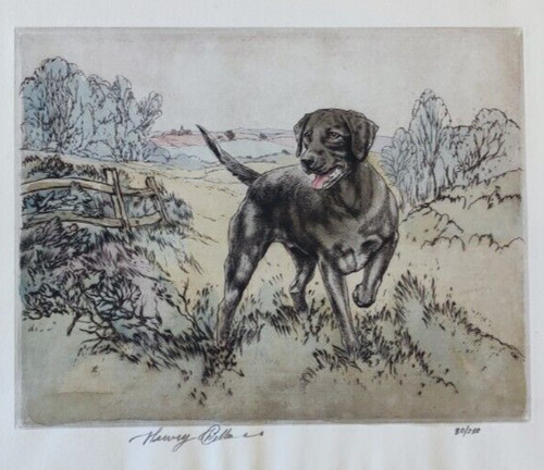 Stampa puntasecca cane - stampa,