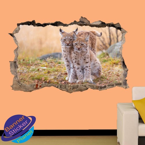 Adesivo parete lince - parete,