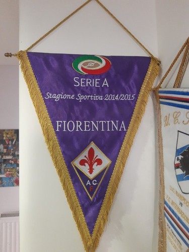 Gagliardetto ricamato - gagliardetto,