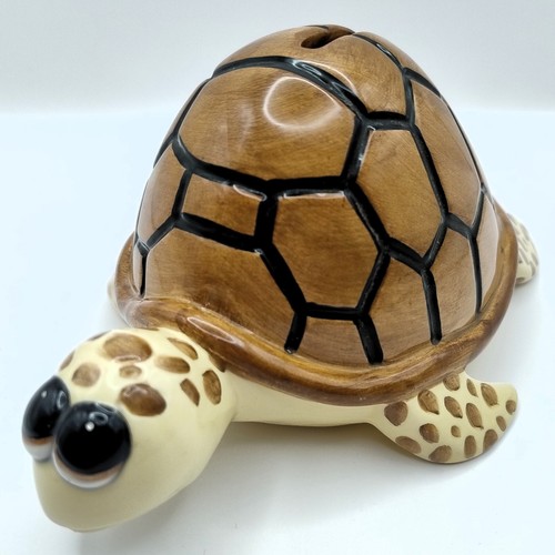 Turtle tortoise money - tortoise, box