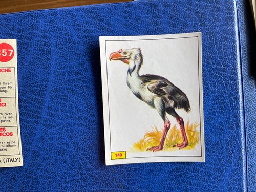 Panini animali preistorici - animali,