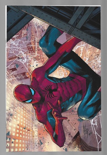 Ultimate spider man - spider-man, 1