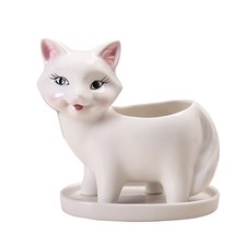  Vasi Per Piante Grasse Da