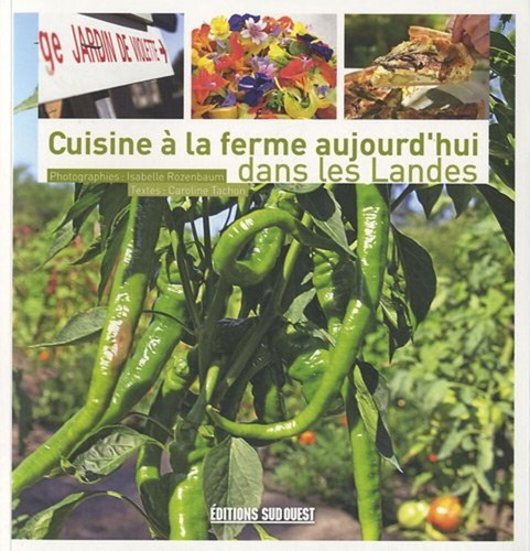 Cucina alla solido oggi - cucina,