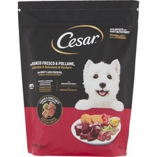 CESAR.  6 PEZZI CANE