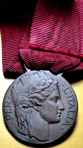 Medaglia per volontari della - i,
