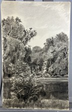 Disegno A Carboncino