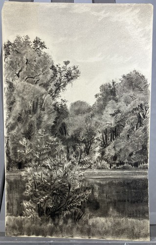 Disegno carboncino - disegno,