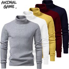 Maglione dolcevita autunno