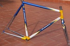 Lazzaretti triathlon telaio e - telaio,