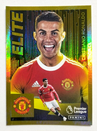 Panini premier league - panini, 2022