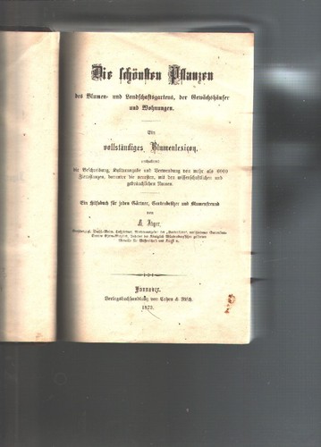 Die schönsten pflanzen - die,