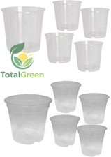 Vaso plastica trasparente