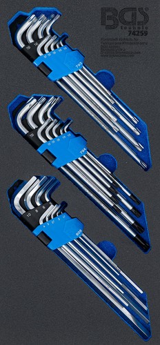 Bgs 74259 inserto per - bgs,
