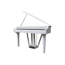 Echord 10w pianoforte - gp-10w, coda