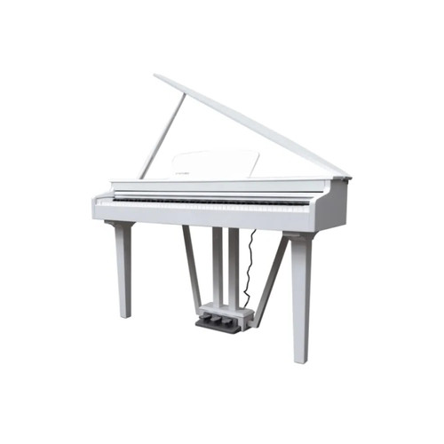 Echord 10w pianoforte coda - pianoforte,