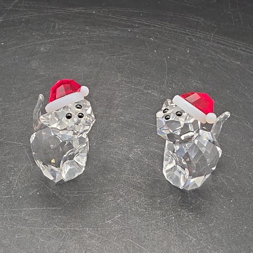 Coppia gatti natale - gatti,