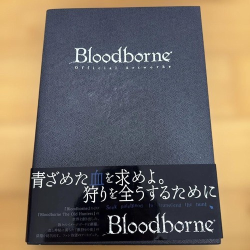 Bloodborne the old hunters - +,