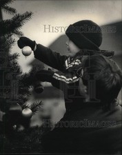 1986 Press Photo Robert