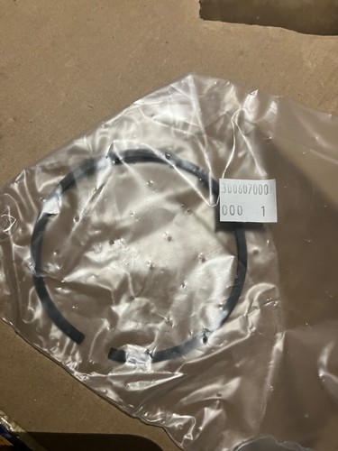 Gu30060700 fascia elastica - fascia,