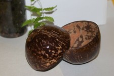 Ciotola e pentola Ceylon