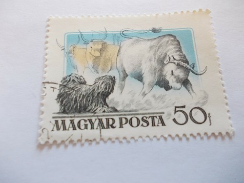 Posta magiara - 50,