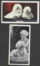 2 diverse carte vintage