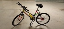 mountainbike Bicicletta per