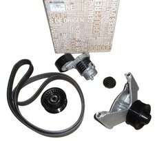 Tendicinghia Trasmissione